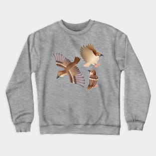 Sparrows Crewneck Sweatshirt